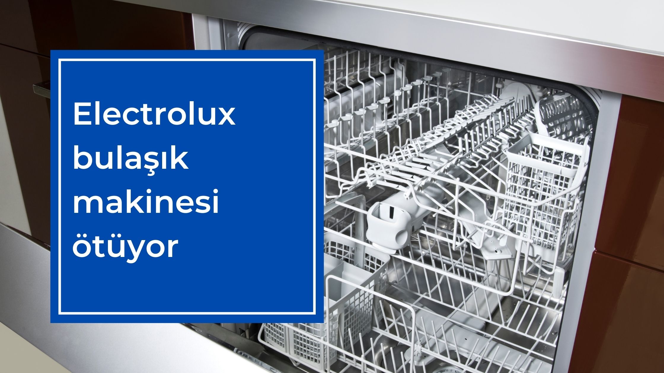 Electrolux Bulaşık Makinesi Ötüyor